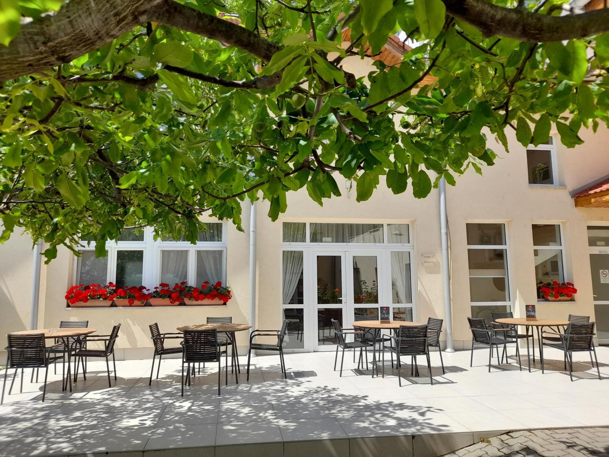 Hotel Platan Székesfehérvár Exteriör bild